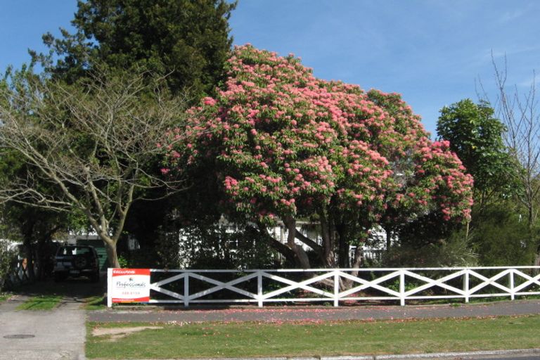 Photo of property in 53 Miller Street, Glenholme, Rotorua, 3010