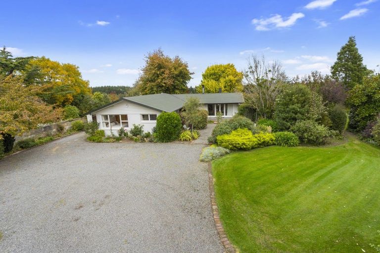 Photo of property in 124 Double Corner Road, Amberley, 7481