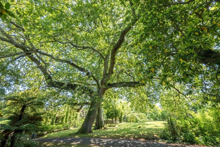 Photo of property in 1084 State Highway 1 South, Manakau, Levin, 5573