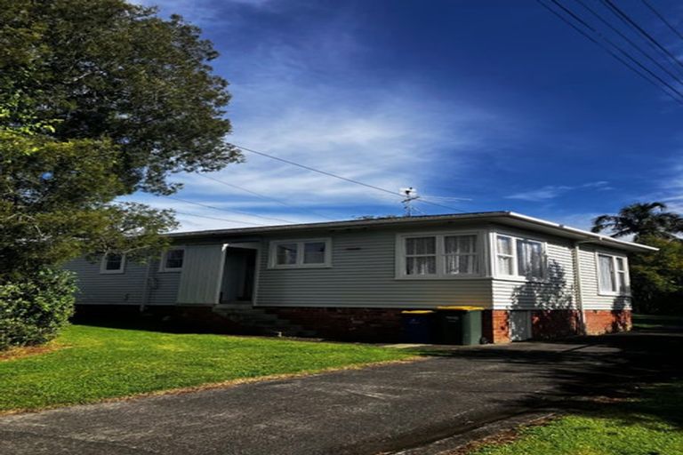 Photo of property in 59 Hutchinson Avenue, New Lynn, Auckland, 0600
