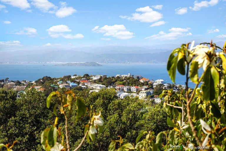 Photo of property in 44 Highbury Road, Highbury, Wellington, 6012