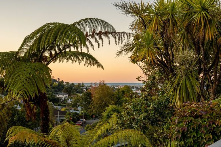 Photo of property in 7 Ngatitama Street, Nelson South, Nelson, 7010