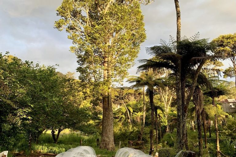 Photo of property in 480 Driving Creek Road, Coromandel, 3506