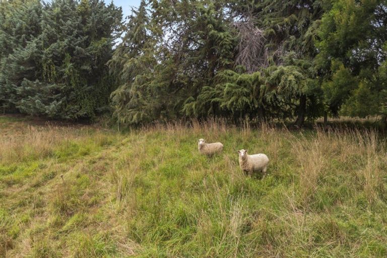 Photo of property in 103 Neudorf Road, Upper Moutere, 7175