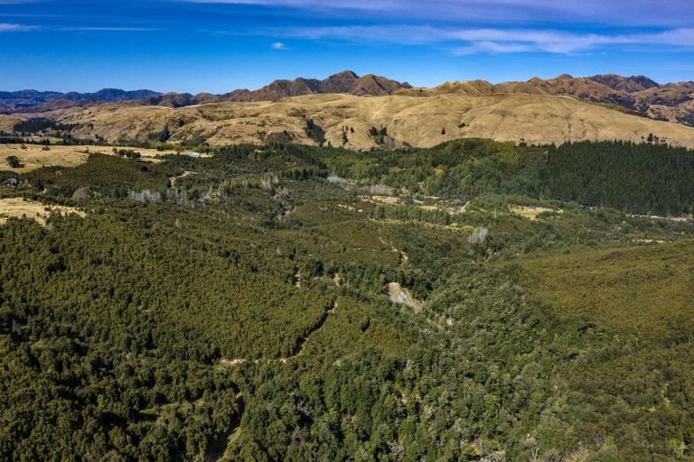 Photo of property in 253 Mount Lyford Forest Drive, Lyford, Waiau, 7395
