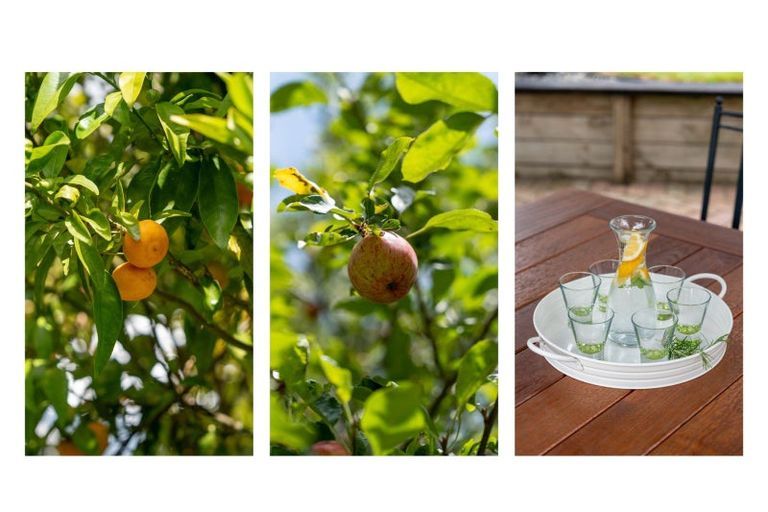 Photo of property in 1 Sycamore Rise, Tauriko, Tauranga, 3110