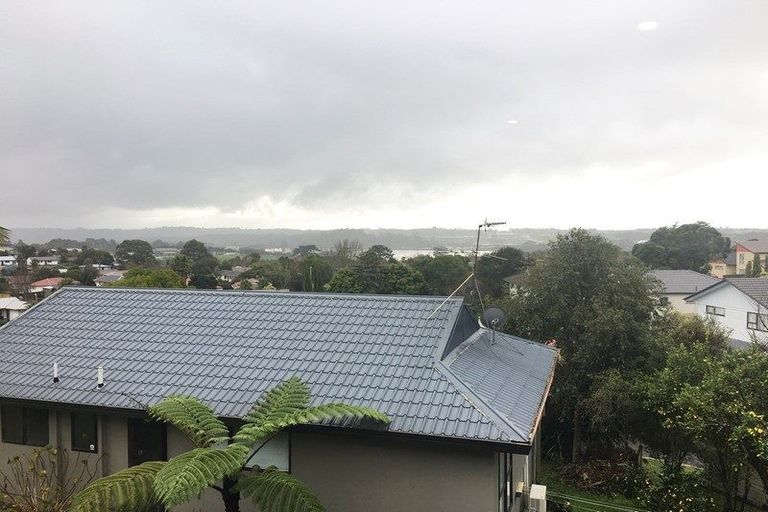 Photo of property in 20 Exeter Place, Unsworth Heights, Auckland, 0632