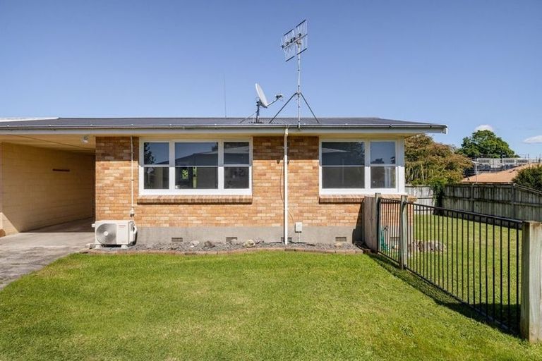 Photo of property in 14a Rimu Street, Gate Pa, Tauranga, 3112