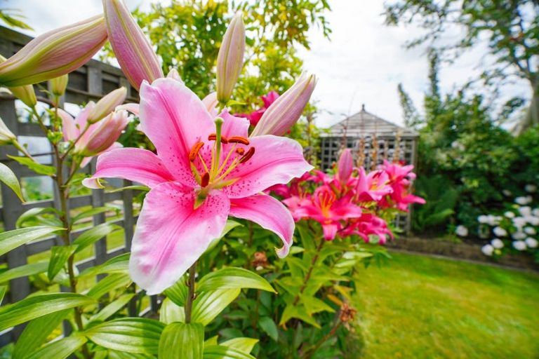 Photo of property in 181 Venus Street, Strathern, Invercargill, 9812