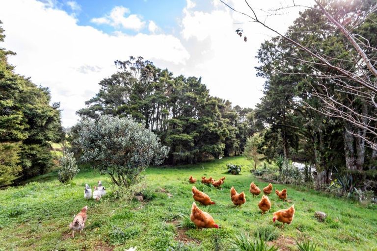 Photo of property in 341a Matauri Bay Road, Kaeo, 0478