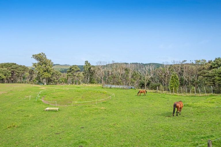 Photo of property in 211 Wilson Road, South Head, Helensville, 0874