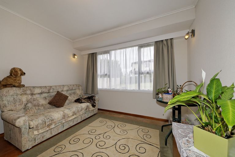 Photo of property in 53 Ellis Avenue, Mount Roskill, Auckland, 1041