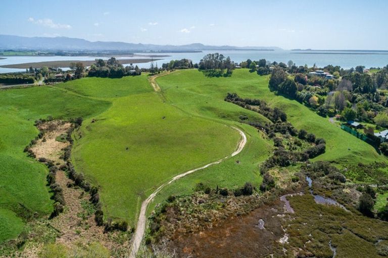 Photo of property in 288a Pahoia Road, Whakamarama, 3172