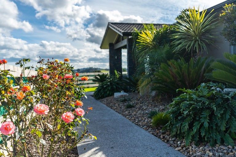 Photo of property in 91a Tomarata Road, Mangawhai, Wellsford, 0975