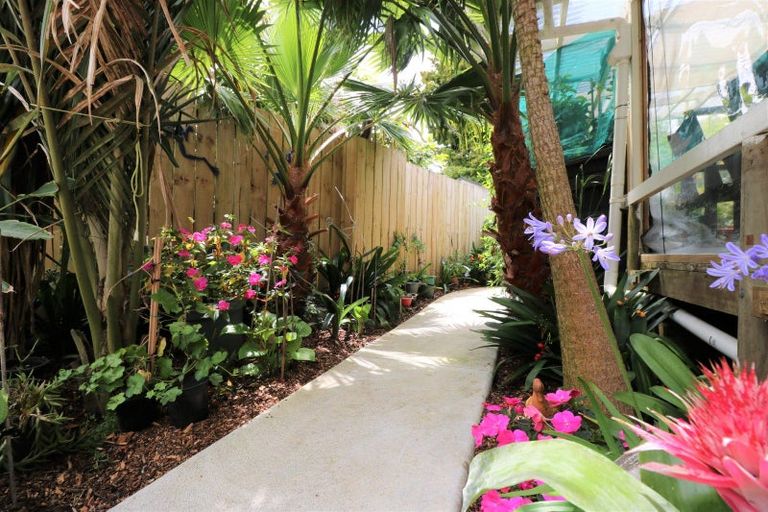 Photo of property in 13 Marlin Place, Whiritoa, Whangamata, 3691