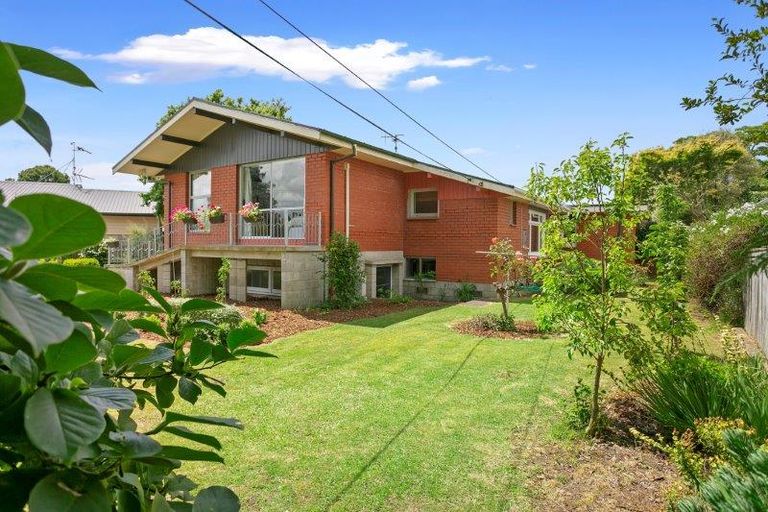 Photo of property in 39 Elizabeth Street, Matamata, 3400