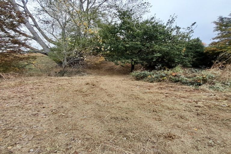 Photo of property in 46 Auskerry Street, Palmerston, 9430