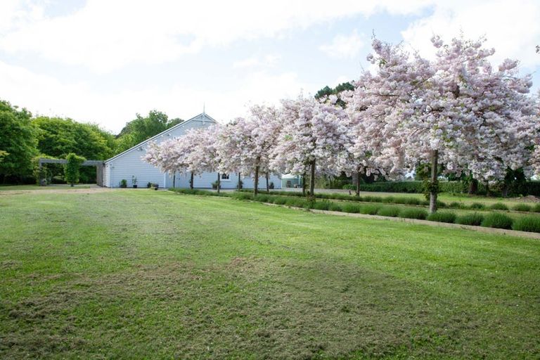 Photo of property in Tuhitarata Homestead, 2337 Kahutara Road, Pirinoa, Featherston, 5772