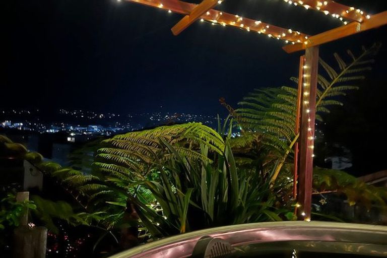 Photo of property in 12 Stafford Street, Mount Victoria, Wellington, 6011