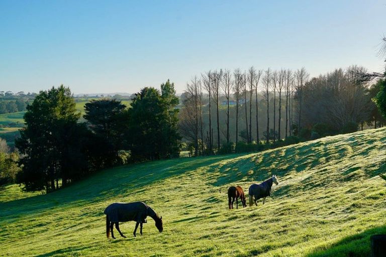 Photo of property in 101 Trig Road, Whitford, 2571