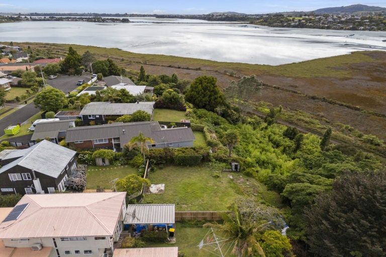 Photo of property in 64b Harrier Street, Parkvale, Tauranga, 3112