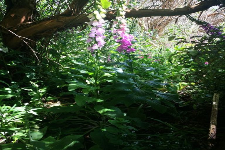 Photo of property in 6 Allan Street, Otatara, Invercargill, 9879