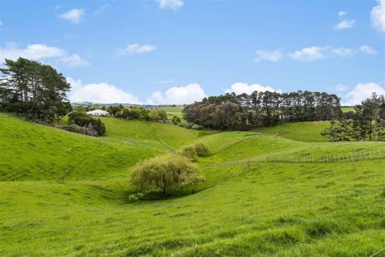 Photo of property in 366 Waiuku Road, Puni, Pukekohe, 2678