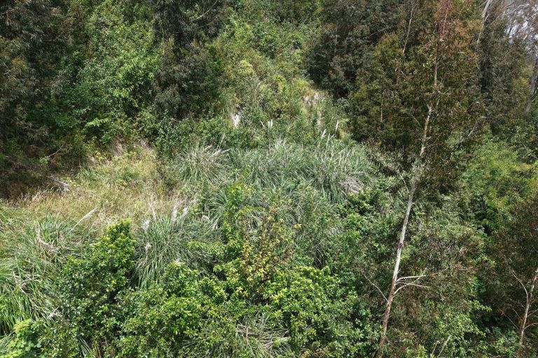 Photo of property in 108 Kakariki Grove, Waikanae, 5036