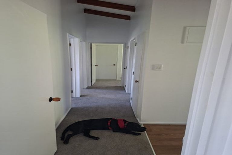 Photo of property in 15b Binnie Street, Paihia, 0200