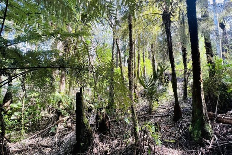 Photo of property in 600 Buffalo Road, Coromandel, 3506