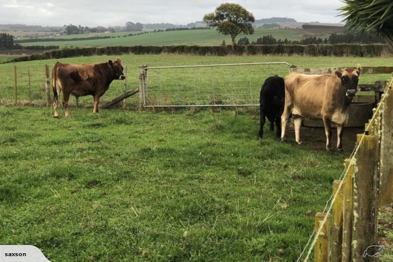 Photo of property in 315 Mercer Ferry Road, Mercer, Tuakau, 2696