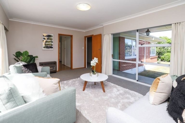 Photo of property in 53 Berkley Avenue, Hillcrest, Hamilton, 3216