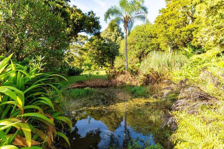 Photo of property in 364 Tara Road, Mangawhai, Kaiwaka, 0573