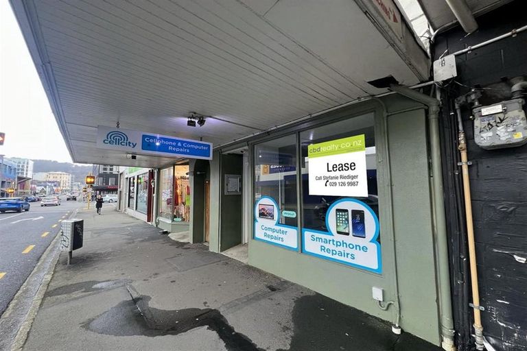 Photo of property in 107 Vivian Street, Te Aro, Wellington, 6011