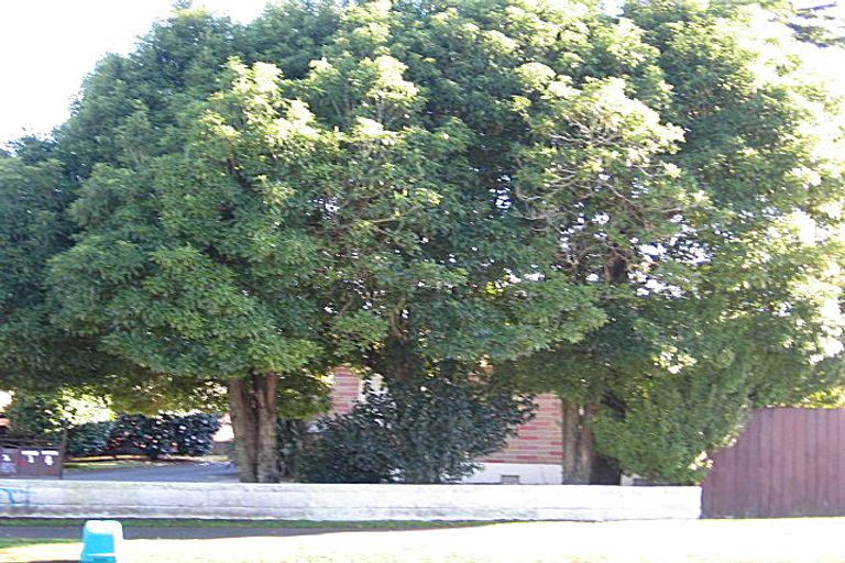 Photo of property in 5/42 Clevedon Road, Papakura, 2110