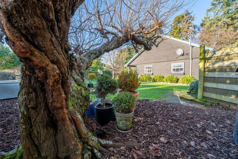 Photo of property in 100 Oak Street, Orari, Geraldine, 7992