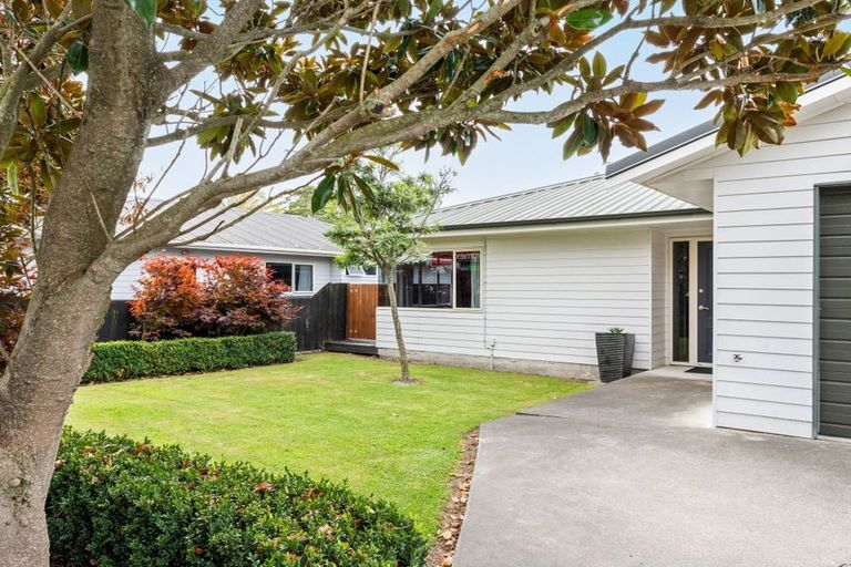 Photo of property in 291 Ormond Road, Mangapapa, Gisborne, 4010