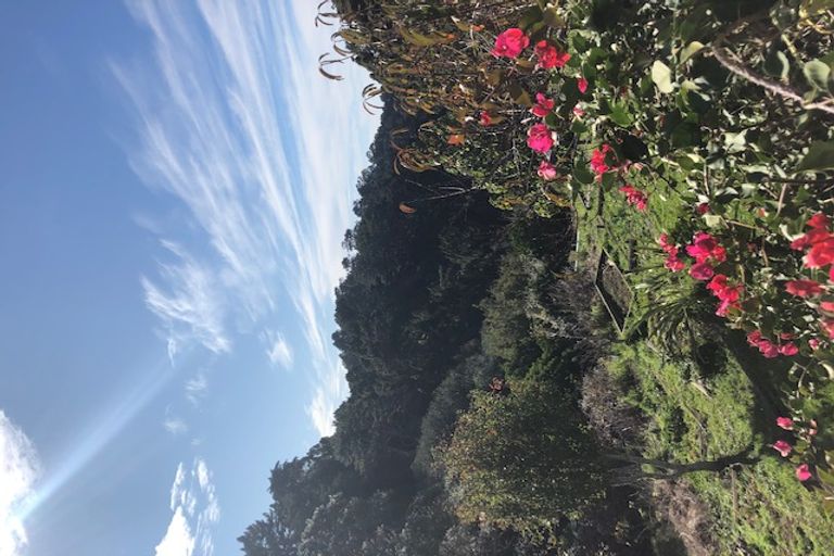 Photo of property in 265 Boiler Gully Road, Manukau Heads, Waiuku, 2684