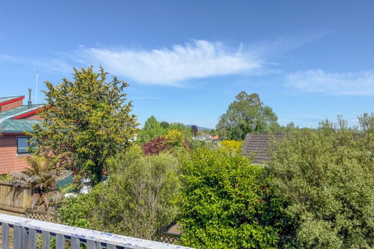 Photo of property in 17 Anderson Street, Putaruru, 3411