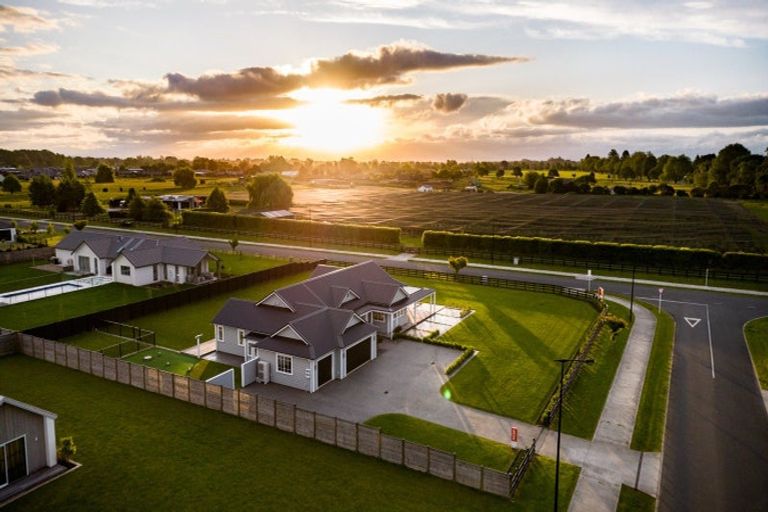 Photo of property in 24 Catalyst Avenue, Leamington, Cambridge, 3432