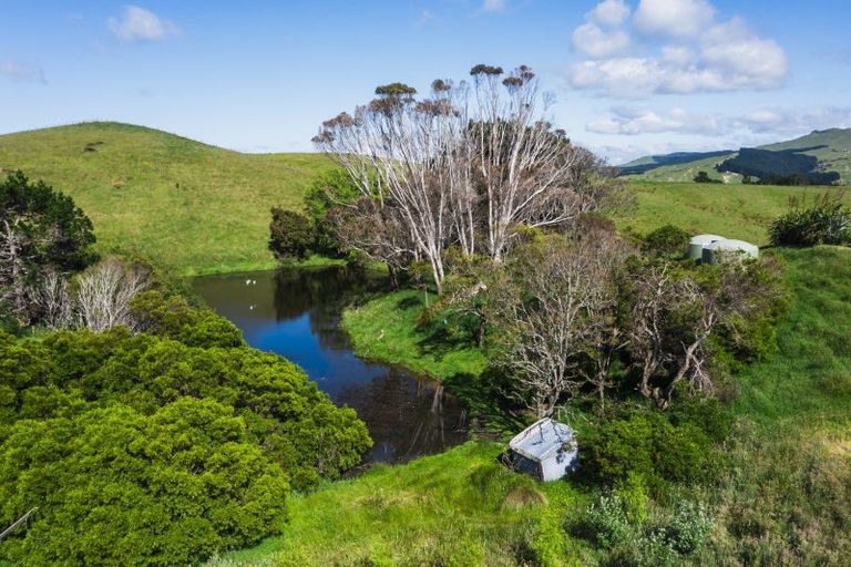 Photo of property in 23 Netherton Road, Omakere, 4271