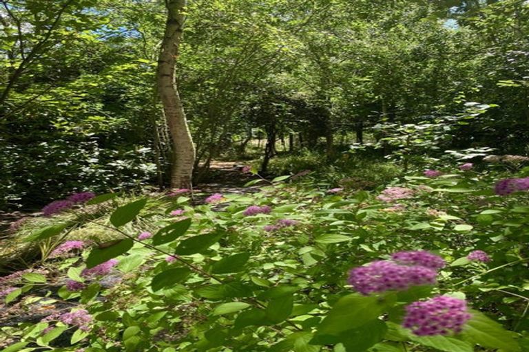 Photo of property in 98 Hawke Road, Orari, Geraldine, 7992