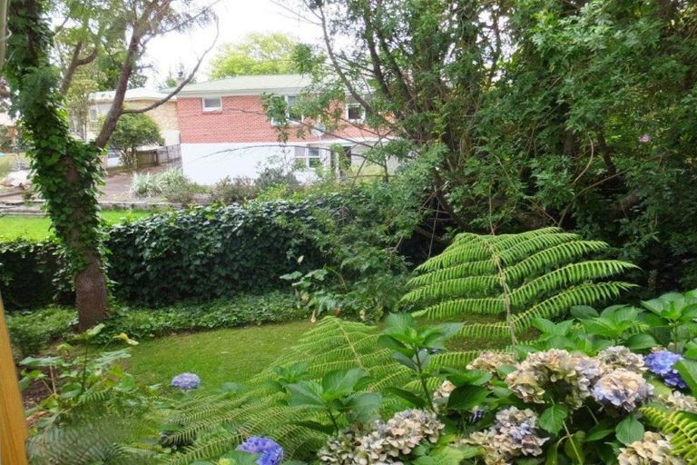 Photo of property in 9 Corbett Avenue, Hillcrest, Hamilton, 3216