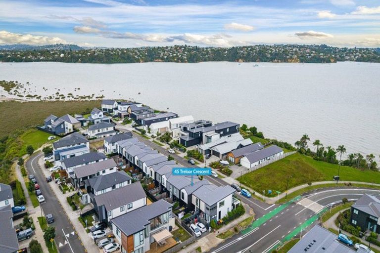 Photo of property in 45 Treloar Crescent, Hobsonville, Auckland, 0616