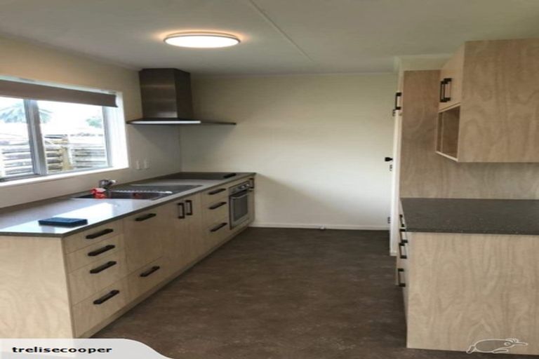 Photo of property in 25a Mako Mako Road, Levin, 5510