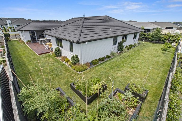 Photo of property in 41 Batten Drive, Flagstaff, Hamilton, 3210