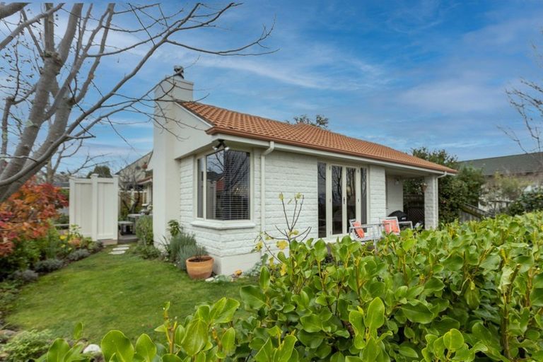 Photo of property in 8a Mchardy Street, Havelock North, 4130