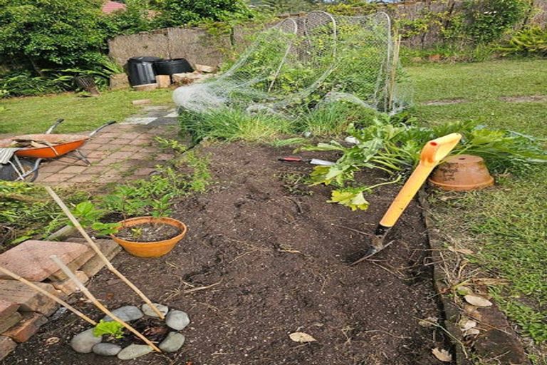 Photo of property in 65 Juniper Road, Sunnynook, Auckland, 0620