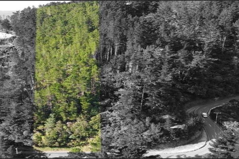 Photo of property in 129 Blue Mountains Road, Blue Mountains, Upper Hutt, 5371