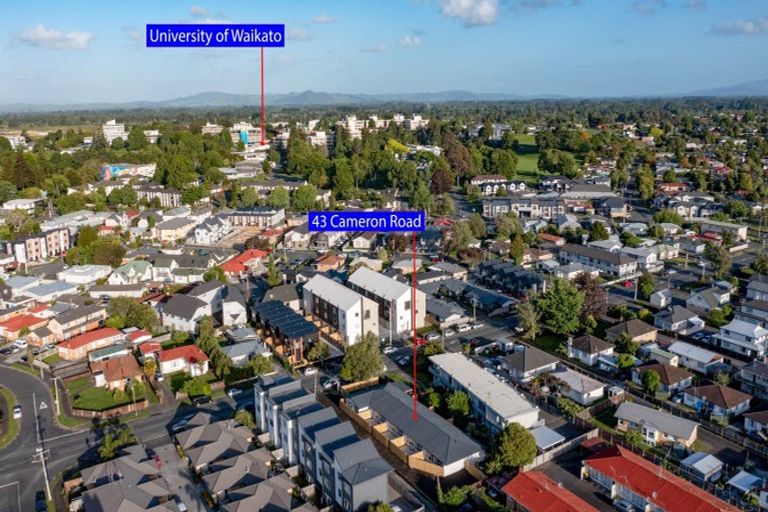 Photo of property in 43 Cameron Road, Bluff Hill, Napier, 4110